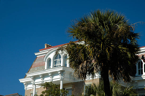 istock Gothic House with Palmetto 92652986