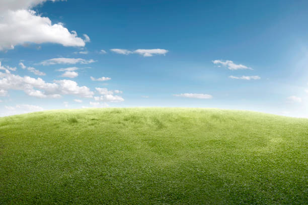 istock Image of green grass field 926538384