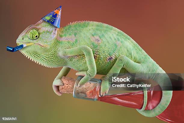 Chameleon Opening Wine At A Party Stock Photo - Download Image Now - Chameleon, Party - Social Event, Alcohol - Drink