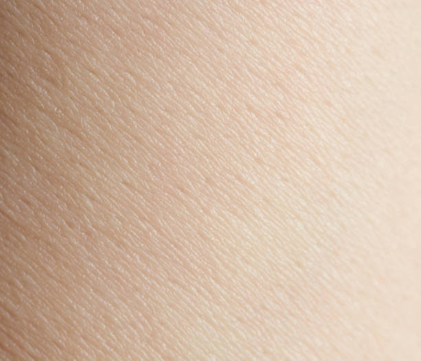 istock Macro of human skin 926542276