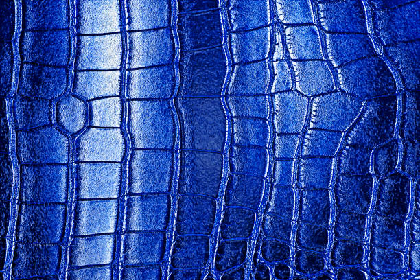 istock Blue texture of alligator skin, reptile. 926542972