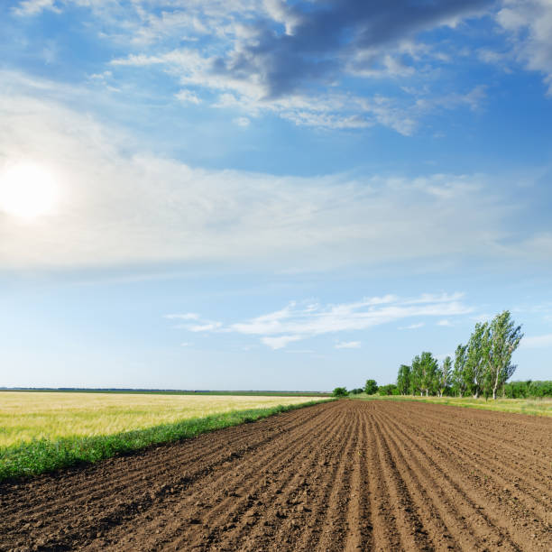 istock black agriculture field and sun in blue sky with clouds 926546494