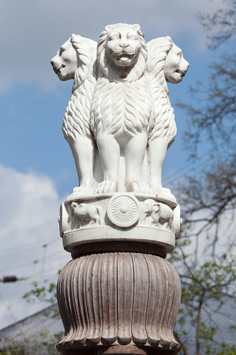 Lion Capital Of The Pillars Of Ashoka Từ Sarnath Hình ảnh Sẵn có - Tải  xuống Hình ảnh Ngay bây giờ - Cột trụ - Đặc điểm kiến trúc, Sư tử, Đầu cột  - iStock