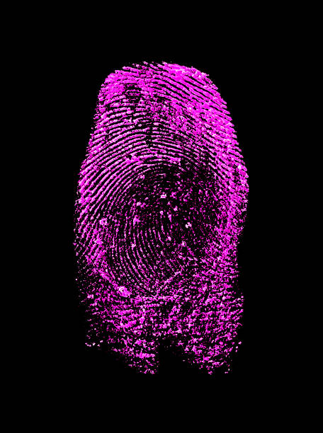 pink fingerprint on black background - fingerprint thumbprint identity red imagens e fotografias de stock