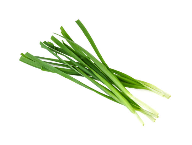istock Garlic chives on white background 926550222