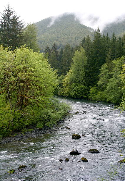 istock The Water Cycle With Rain Clouds and River 92655185
