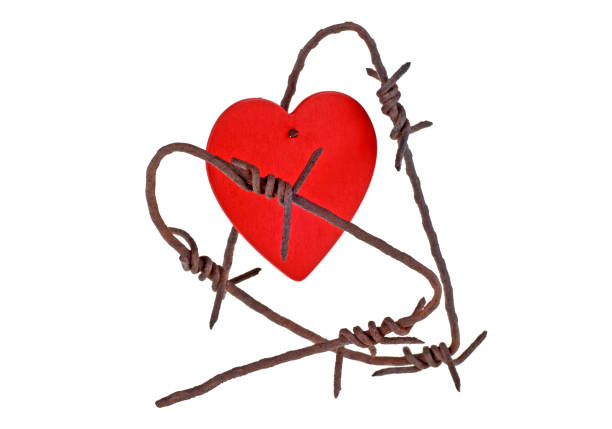 istock Red heart on barbed wire, white background 926554296