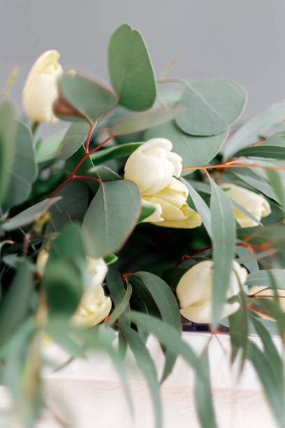 istock White tulips and eucalyptus. Delicate spring bouquet with green leaves 926555162