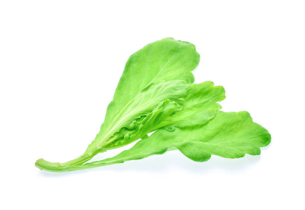 edible chrysanthemum leaf isolated on white background