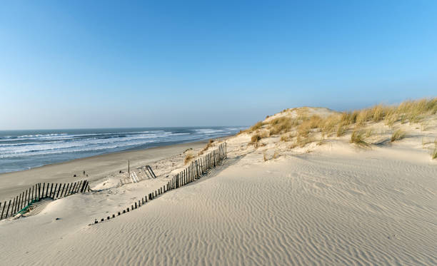 istock Hourtin beach in Aqutaine coast 926558262