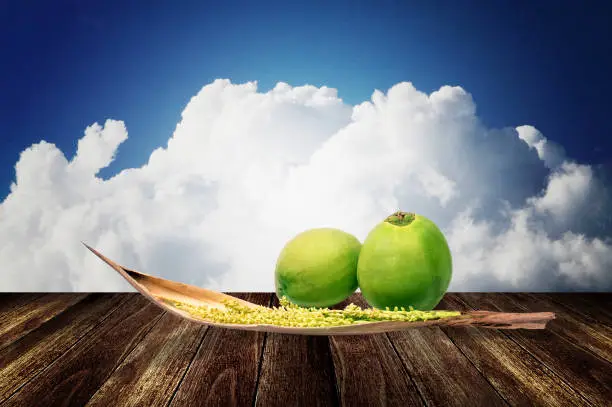 Photo of Spadix, Flower of coconut on deck with clouds background