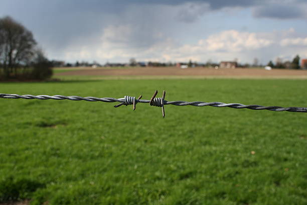 Stacheldraht – Foto