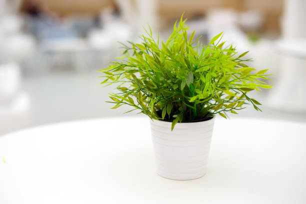 Green artificial plant in a white pot on the table. Light interior, blurred background.