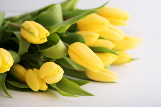 istock Colorful tulips on wooden table 926566692