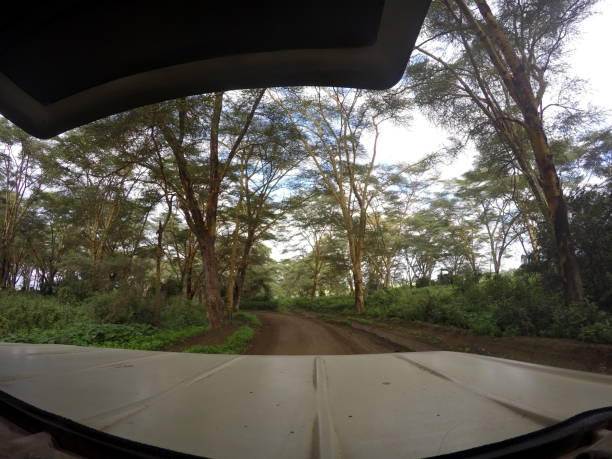 istock Landscapes in Kenya 926567172