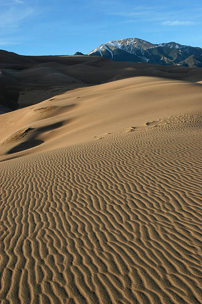 istock Great Sand Dunes National Park, CO 92657531