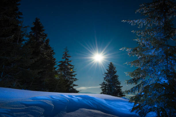 Snowy view in Carpathian Mountains, winter landscapes series.