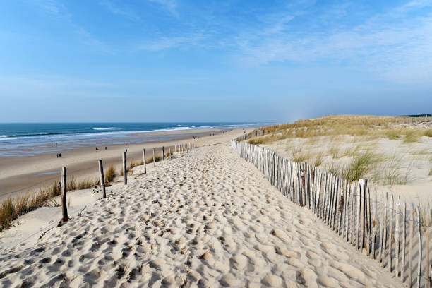 istock Coast of Lacanau 926579468