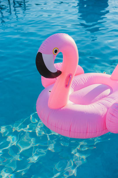 istock Flamingo inflatable on swimming pool 926579956