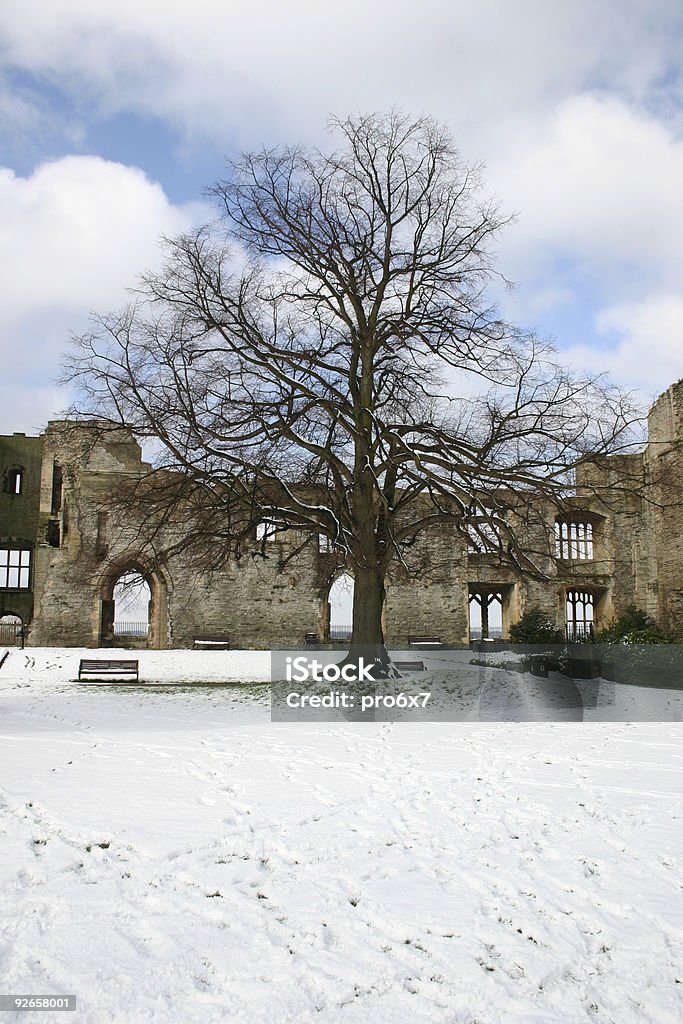 Tree in Schnee und Castle - Lizenzfrei Alt Stock-Foto