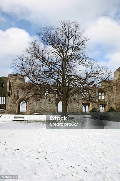 Tree In Schnee Und Castle Stockfoto und mehr Bilder von Alt - Alt, Baum, Eingefroren