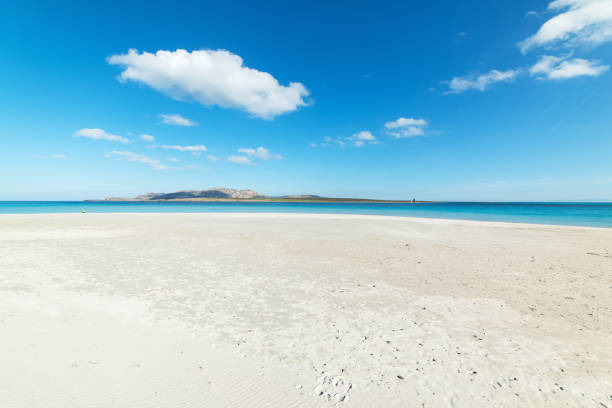 istock sunny day at the beach 926582758