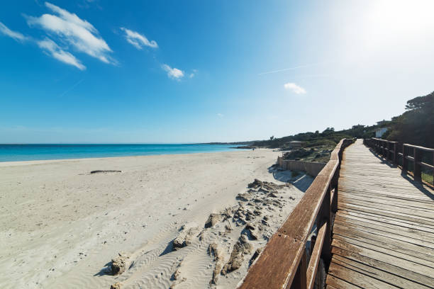 istock shining sun over La Pelosa 926582970