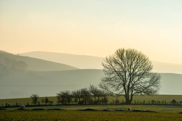 istock Morning at Stiperstones. 926583538