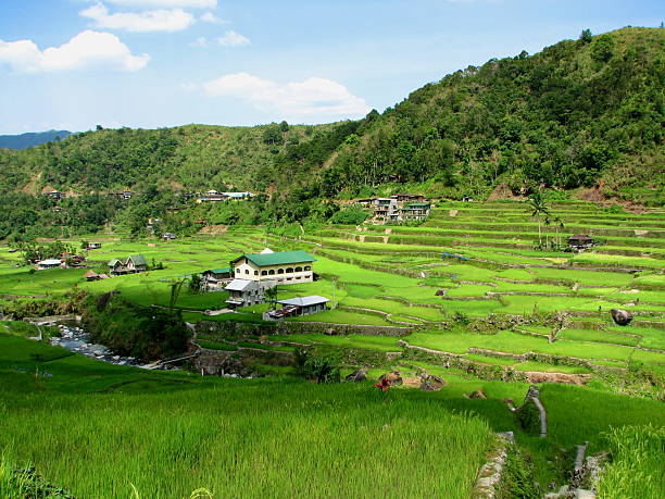 Arroz Hapao Aldeia Terraces - fotografia de stock