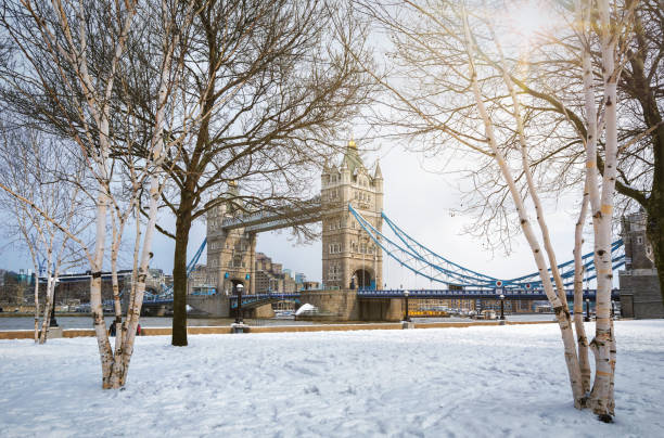 vista sul tower bridge innevato a londra, regno unito - london england christmas snow winter foto e immagini stock