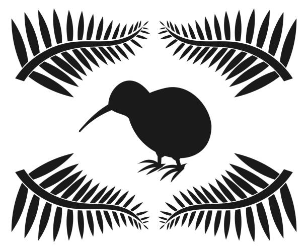 ilustrações de stock, clip art, desenhos animados e ícones de kiwi and ferns - kiwi