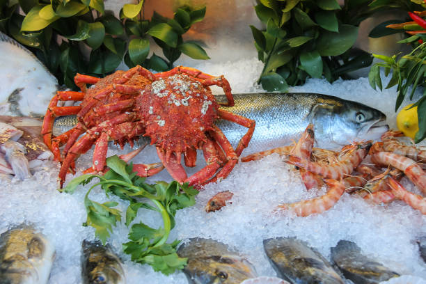 istock Fresh and cooked seafood in ice on display case 926591224