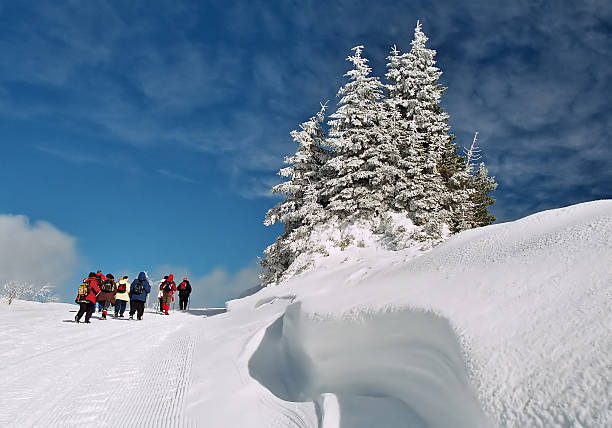 istock Snow wave with hikers in the background 92659467