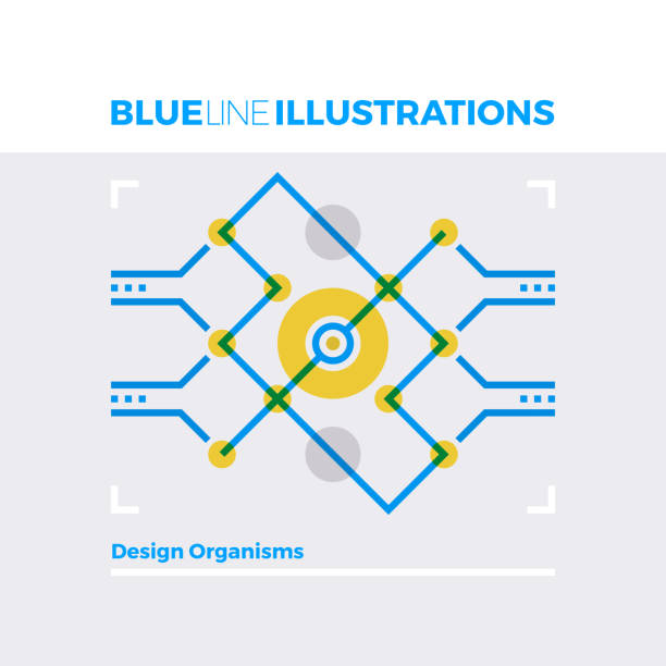 struktura organizmu projekt niebieskiej linii ilustracja - model organism stock illustrations