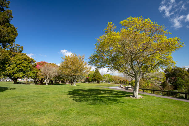 istock Kuirau Park Rotorua 926595408