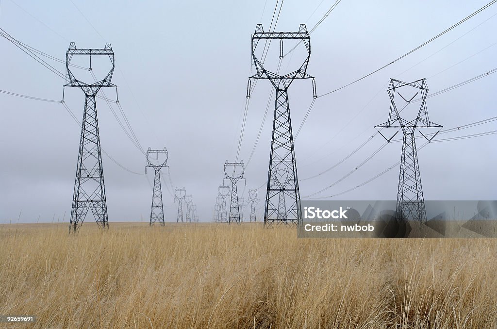 Endless High Voltage Electrical Towers In A Wheat Field  Agricultural Field Stock Photo