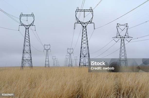 Endless High Voltage Electrical Towers In A Wheat Field Stock Photo - Download Image Now
