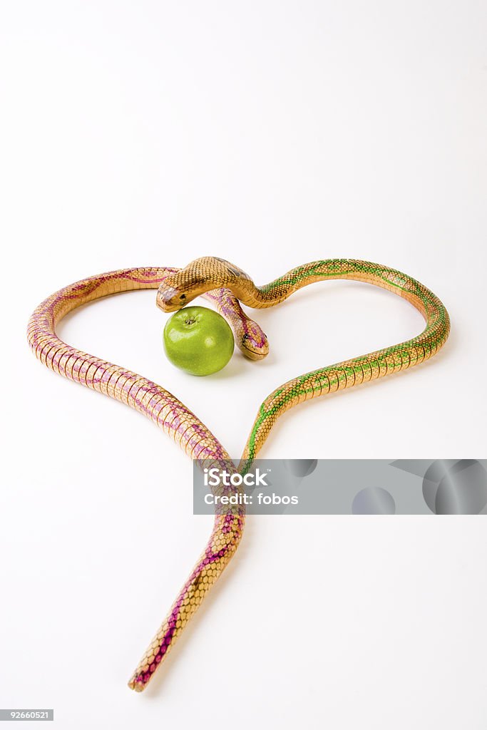 Dos snakes y una manzana - Foto de stock de Amor - Sentimiento libre de derechos