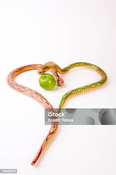 Dos Snakes Y Una Manzana Foto de stock y más banco de imágenes de Amor - Sentimiento - Amor - Sentimiento, Cobra, Color - Tipo de imagen