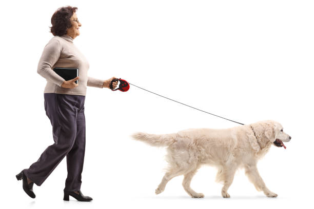 istock Mature woman walking a dog 926606322