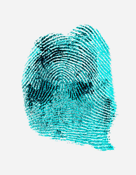 灰色の背景の拇印 - fingerprint blue human finger fingermark ストックフォトと画像