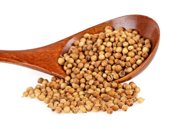 istock Coriander seeds in wooden spoon isolated on white background 926608660