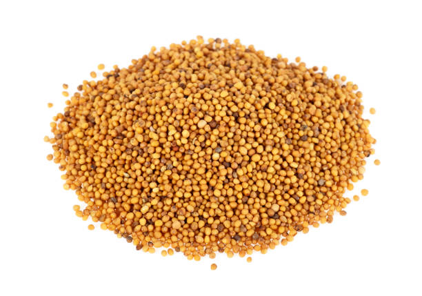 istock Mustard seeds isolated on a white background 926608664