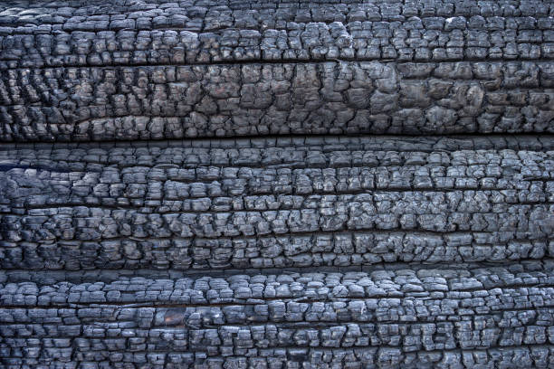 istock Burnt logs charred wood texture 926609890