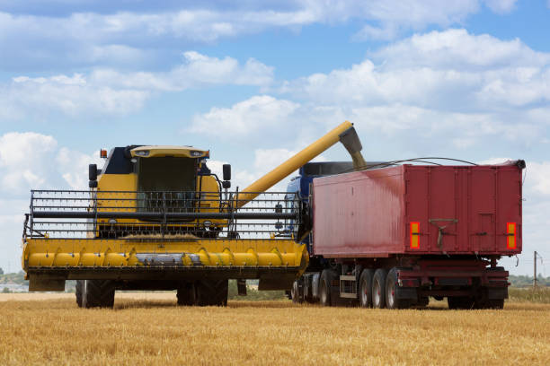 istock harvesting, the combine pours grain into a large machine, a harvesting machine on an agricultural land 926610326