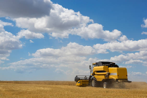 istock harvesting machine cuts wheat in the field, harvester is working, harvesting 926610400