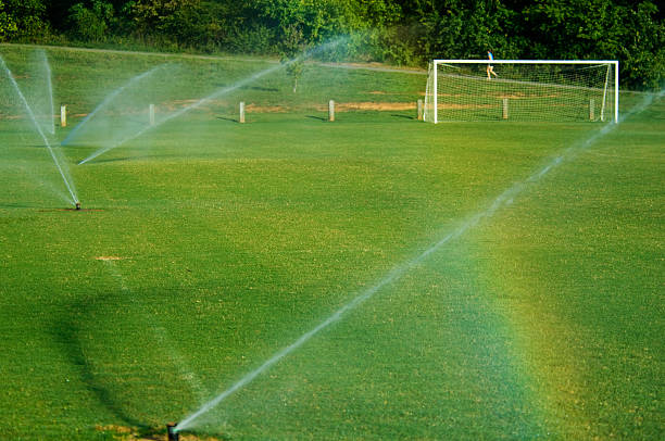 サッカーサッカーフィールド、目標に公園 - soccer man made material goal post grass ストックフォトと画像