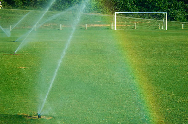 istock Soccer Field with Soccer Goal at Park 92661096