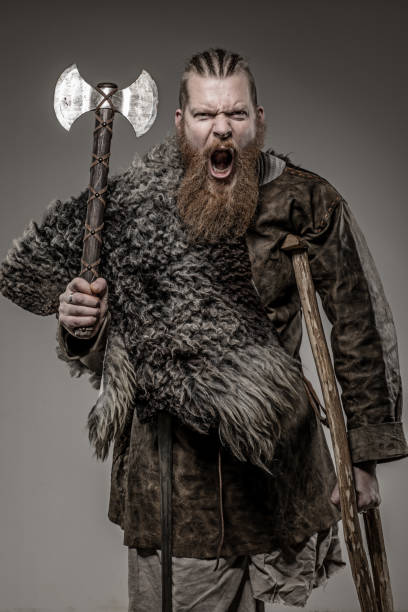 20,500+ Viking Warrior Stock Photos, Pictures & Royalty-Free Images ...