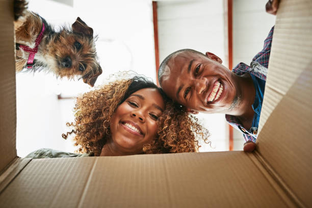 Look what we found Low angle portrait of a cheerful couple and their dog looking into a box together to see whats inside box of puppies stock pictures, royalty-free photos & images